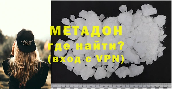 хмурый Аркадак