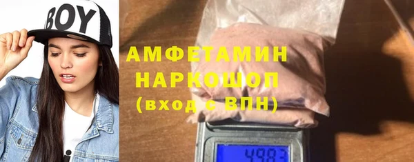 хмурый Аркадак