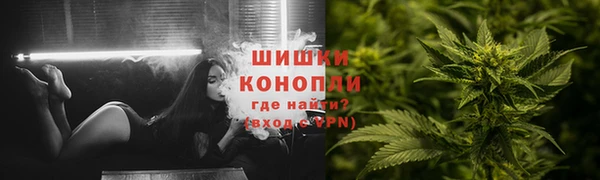 хмурый Аркадак