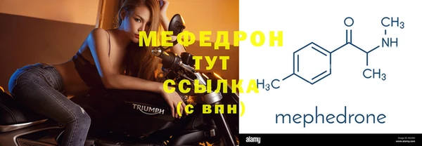 хмурый Аркадак