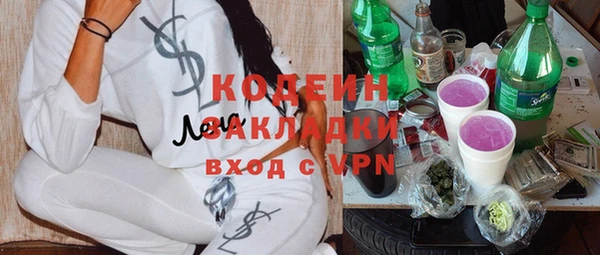 хмурый Аркадак