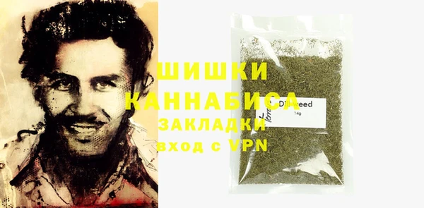 хмурый Аркадак