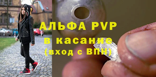 хмурый Аркадак