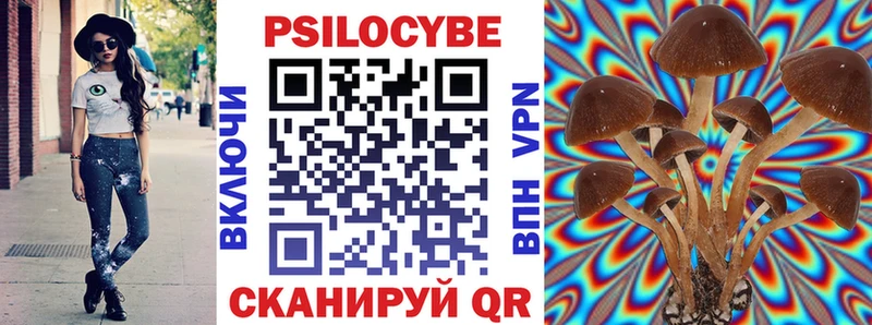 Купить закладки  Пойковский  Галлюциногенные грибы мухоморы 