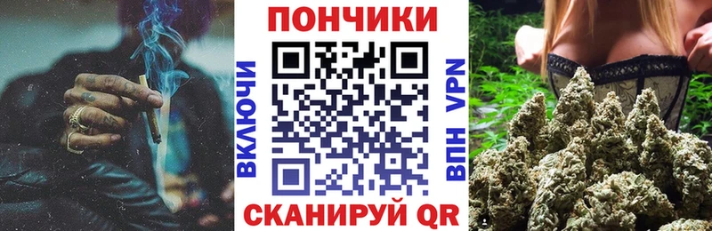 Купить закладки  Пойковский  Бошки Шишки сатива 
